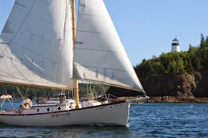 Bufflehead Sailing Charters image