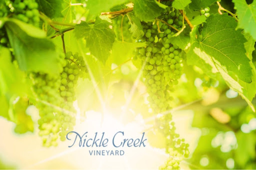 Vineyard «Nickle Creek Vineyard», reviews and photos, 12 King Rd, Foster, RI 02825, USA