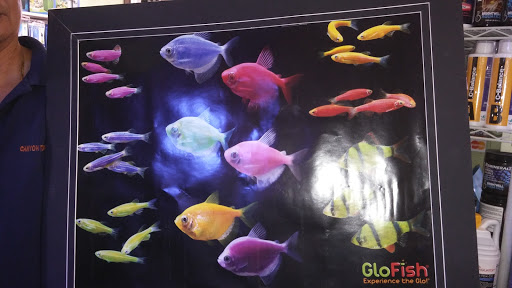 Aquarium «P&P Tropical Fish», reviews and photos, 5020 Ball Rd, Cypress, CA 90630, USA