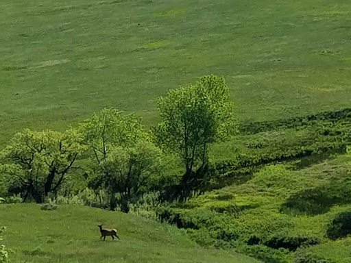 Nature Preserve «Rocky Flats National Wildlife Refuge», reviews and photos, 10808 Colorado 93, Golden, CO 80403, USA