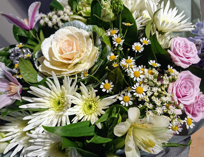 Reviews of Hazel Holly Florist in Bristol - Florist