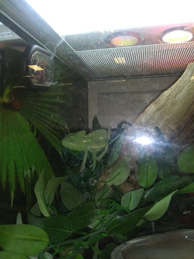 Pet Supply Store «PetSmart», reviews and photos, 30 Malphrus Rd, Bluffton, SC 29910, USA