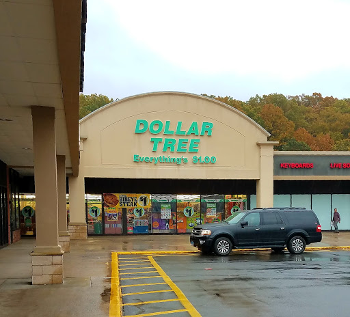 Dollar Store «Dollar Tree», reviews and photos, 847 Queen St, Southington, CT 06489, USA