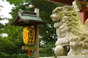 Seta Tamagawa-jinja Shrine image