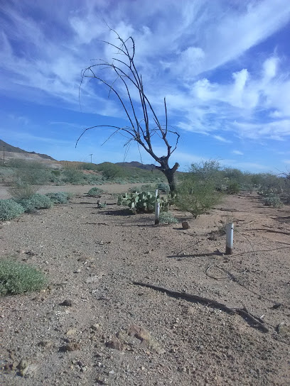 Asarco LLC - Silver Bell Mine