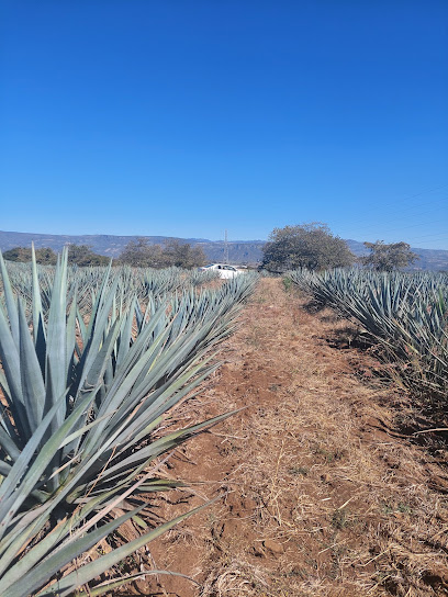 Tequila grand tour