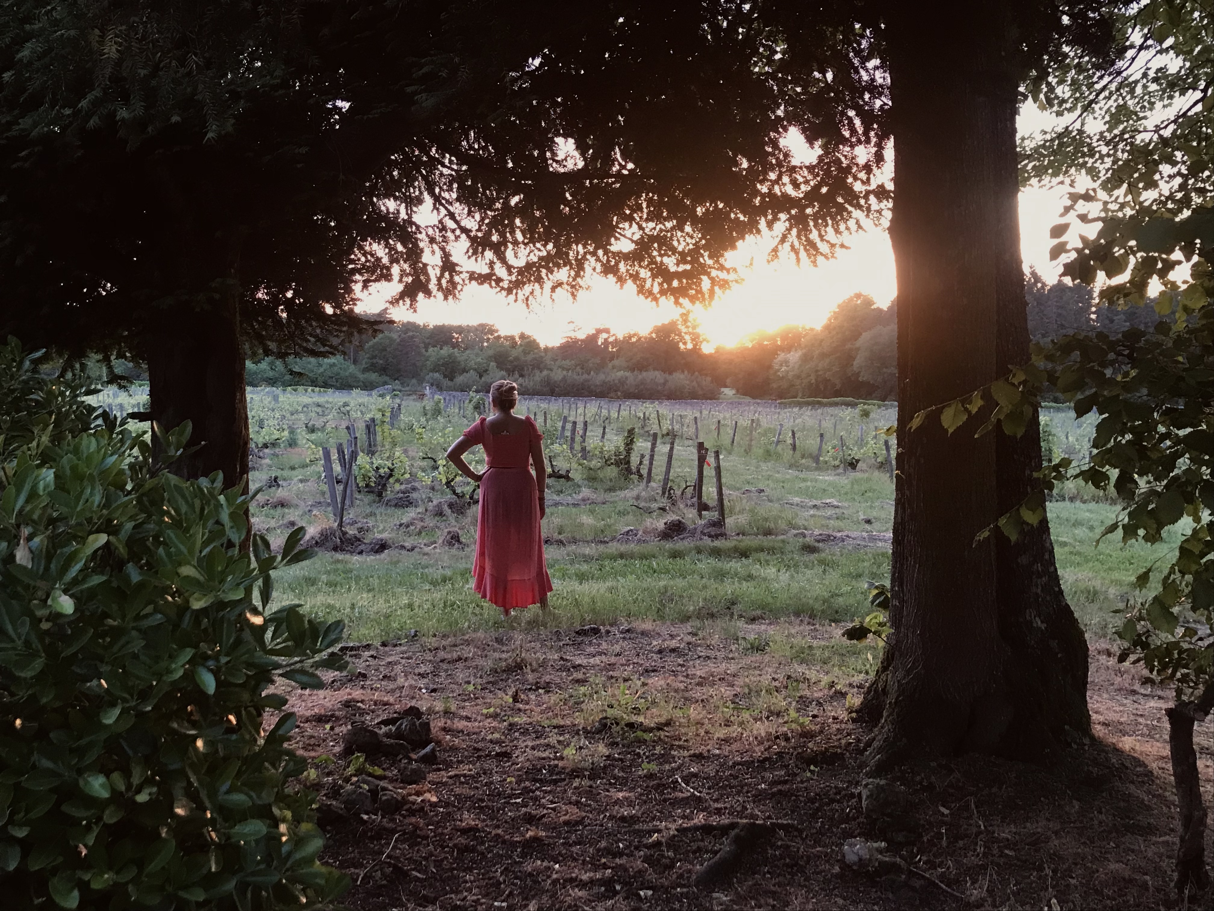 Photo n° 2 de l'avis de Dottie.a fait le 16/05/2022 à 07:17