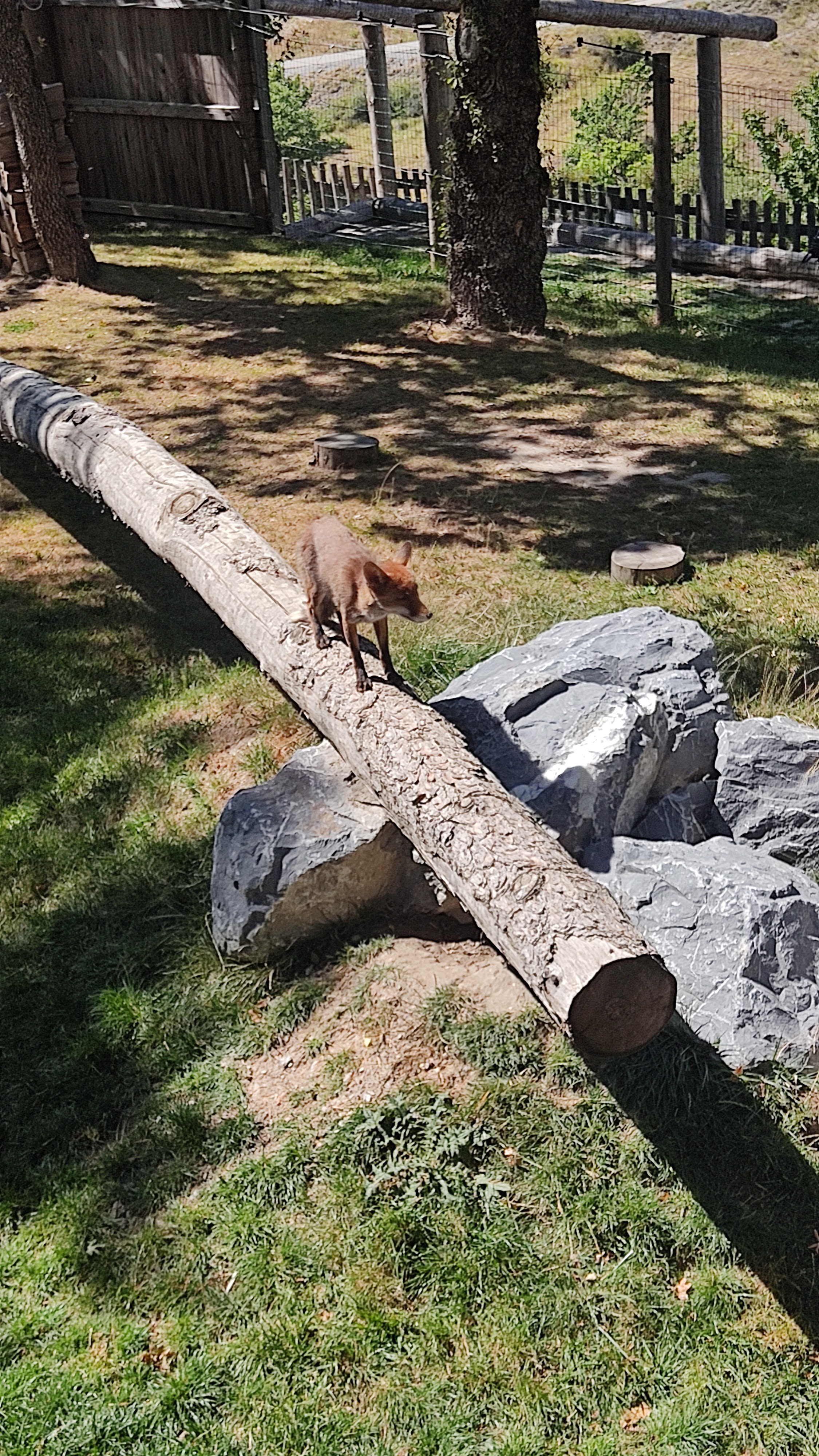 Photo n° 2 de l'avis de Jonath. fait le 01/09/2023 à 20:28