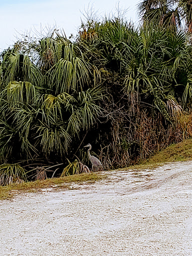 Campground «Savannas Recreation Area», reviews and photos, 1400 E Midway Rd, Fort Pierce, FL 34982, USA