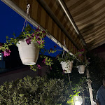 Photo n°7 de l'avis de Elena.o fait le 09/07/2023 à 14:32 sur le  Ristorante il Don Rodrigo à Lecco