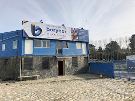 Borybor (Concepción)