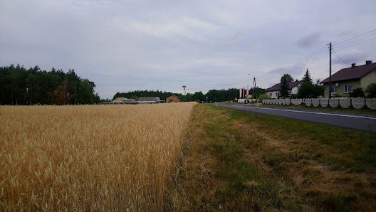 Bar u Romana DW442, 62-814 Janków Drugi, Polska