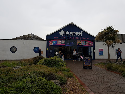 Blue Reef Aquarium Portsmouth Portsmouth