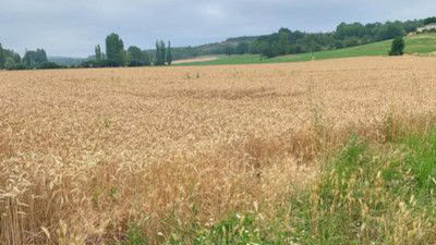 Garneau Jean à Saint-André-de-Cubzac