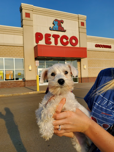 Pet Supply Store «Petco Animal Supplies», reviews and photos, 4401 Transit Rd #600, Williamsville, NY 14221, USA