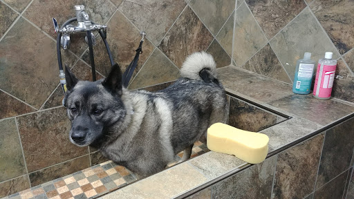 Pet Supply Store «Pet Valu», reviews and photos, 150 Main St, Lodi, NJ 07644, USA