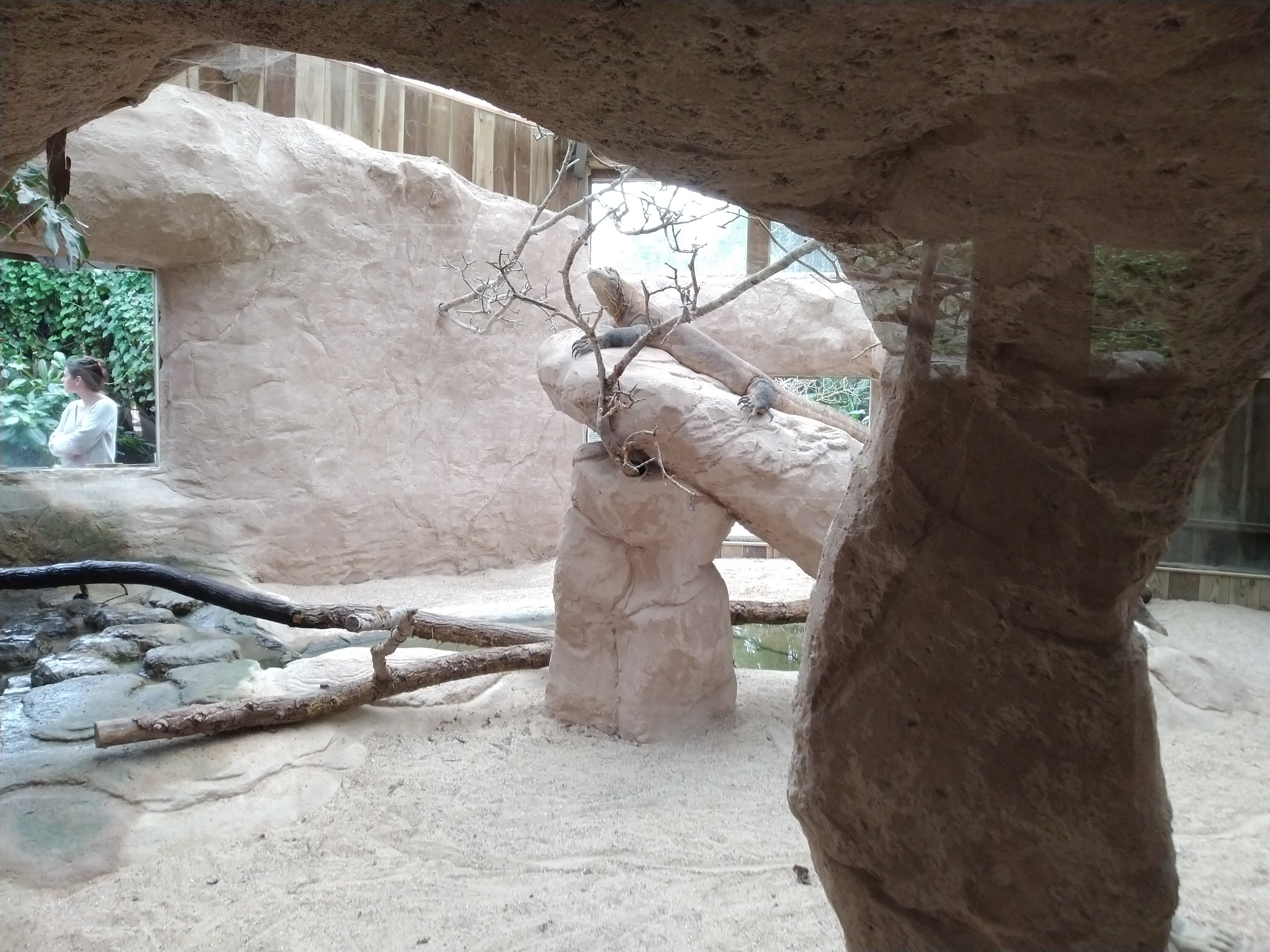 Photo n° 5 de l'avis de Tia. fait le 04/06/2019 à 16:30