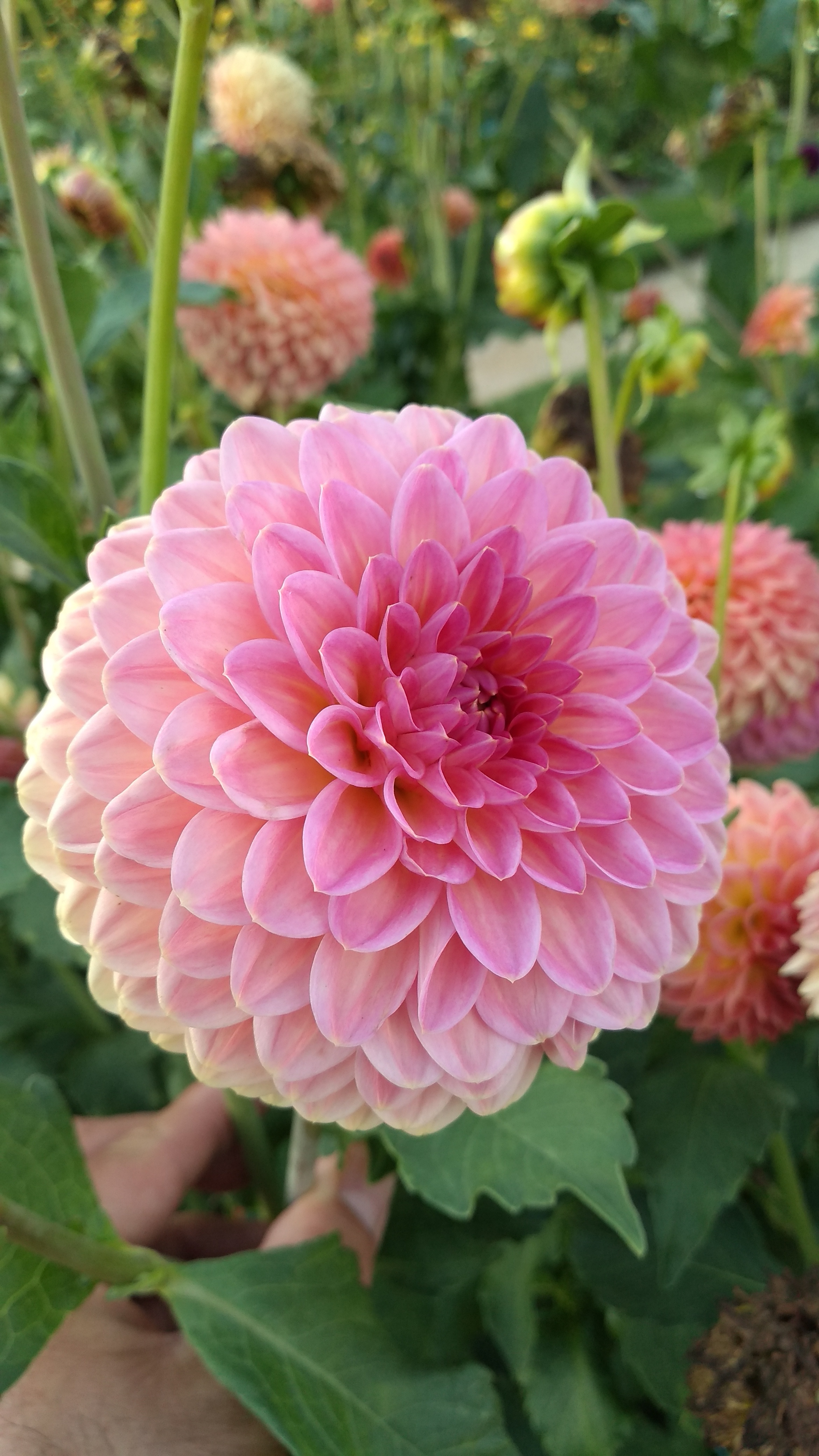Photo n° 14 de l'avis de Christian.a fait le 24/09/2021 à 17:21
