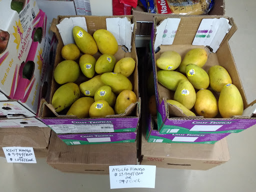 Indian Grocery Store «House of Spices Indian Store», reviews and photos, 9841 Bernwood Pl Dr, Fort Myers, FL 33966, USA