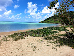 Mtsanga Antakoudja Beach'in fotoğrafı vahşi alan