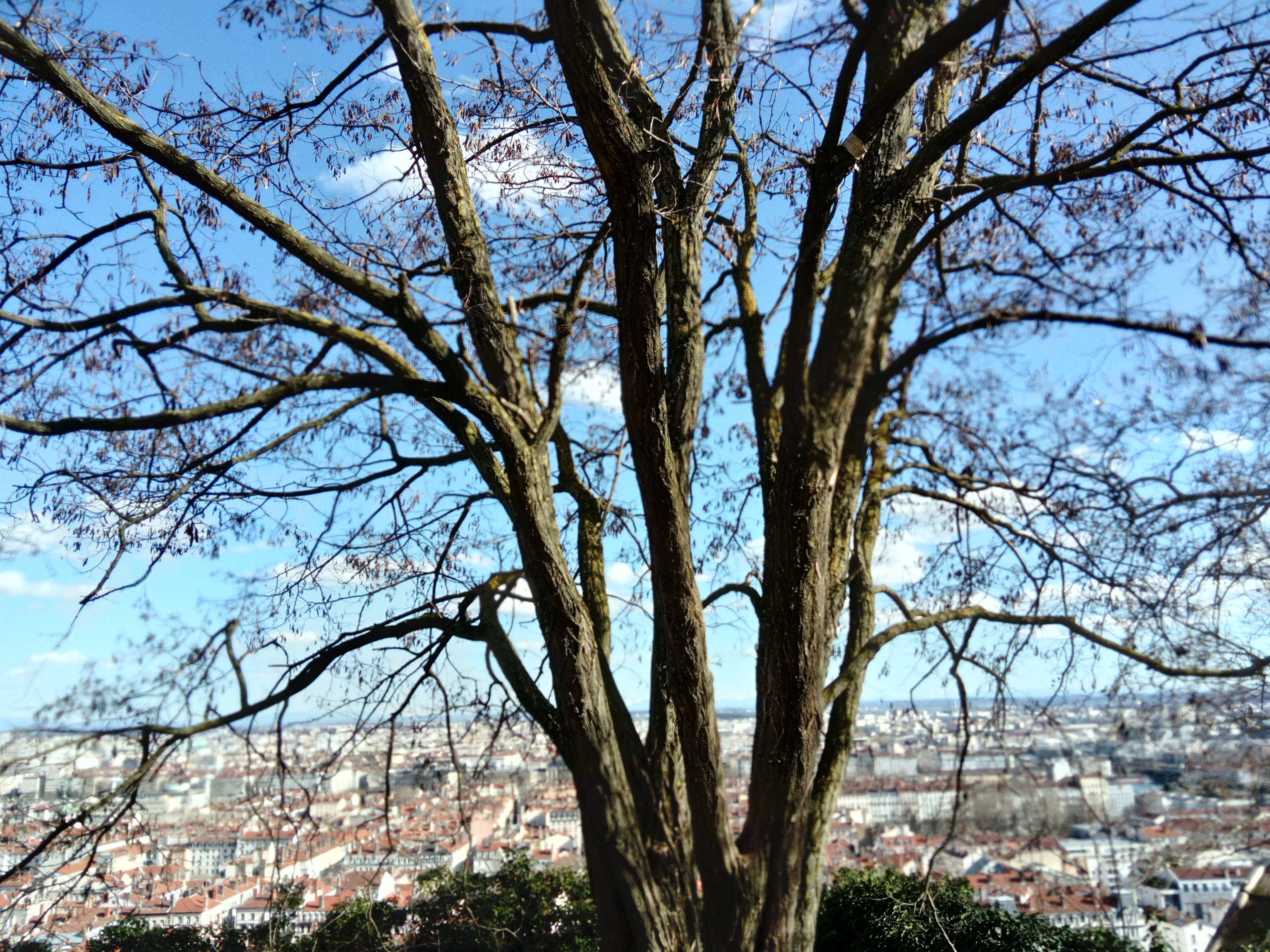 Photo n° 2 de l'avis de Nathalie.i fait le 05/03/2019 à 15:49
