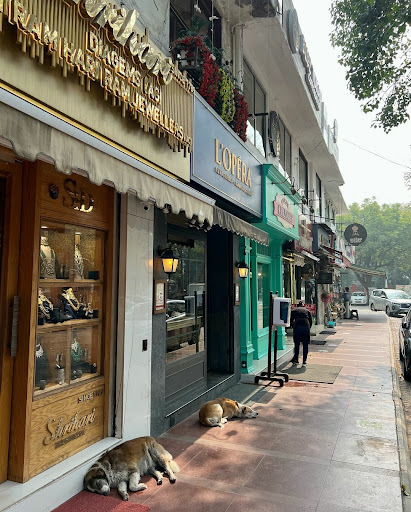 मछली की दुकानें दिल्ली