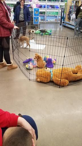 Pet Store «PetSmart», reviews and photos, 10451 Baltimore St NE, Blaine, MN 55449, USA