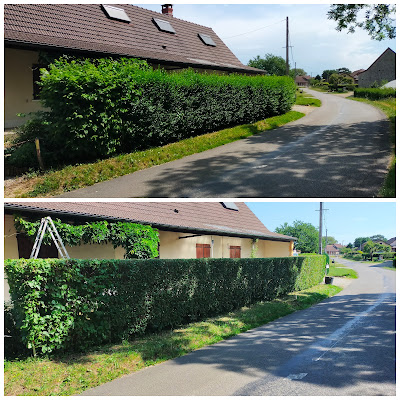 Bailly paysagiste à Beaurepaire-en-Bresse