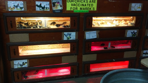 Pet Supply Store «Bradshaw Feed & Pet Supply», reviews and photos, 7285 Bradshaw Rd, Sacramento, CA 95829, USA