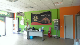 SetPet Veterinário