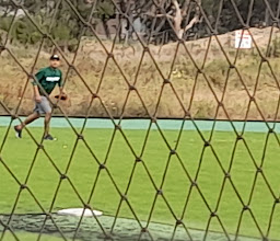 Campo de Beisball photo