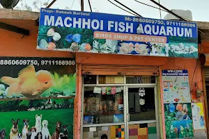 Machhoi Fish Aquarium & Pet Shop image