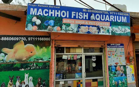 Machhoi Fish Aquarium & Pet Shop image