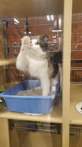 Pet Supply Store «PetSmart», reviews and photos, 4824 211th St, Matteson, IL 60443, USA