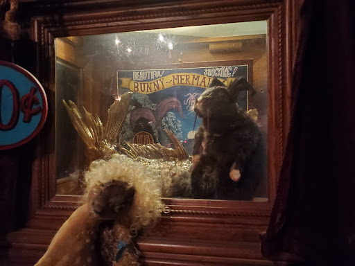 Tourist Attraction «Trundle Manor», reviews and photos, 7724 Juniata St, Pittsburgh, PA 15218, USA