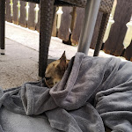 Photo n°1 de l'avis de Agnieszka.a fait le 02/05/2023 à 14:48 sur le  Zum Schiffmeister Carl Massury à Schönau am Königssee