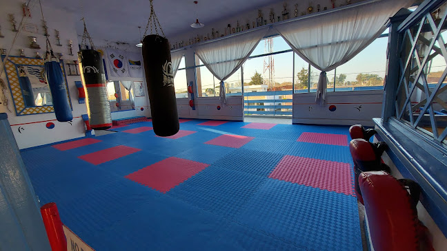 Opiniones de Cerrato School - Federacion Uruguaya de Taekwondo en Canelones - Escuela