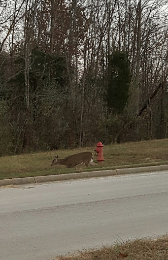 Insurance Company «The Rawlings Group», reviews and photos