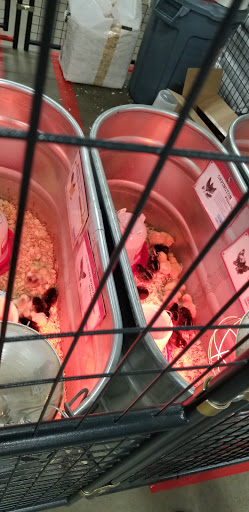 Home Improvement Store «Tractor Supply Co.», reviews and photos, 985 Octorara Trail, Parkesburg, PA 19365, USA