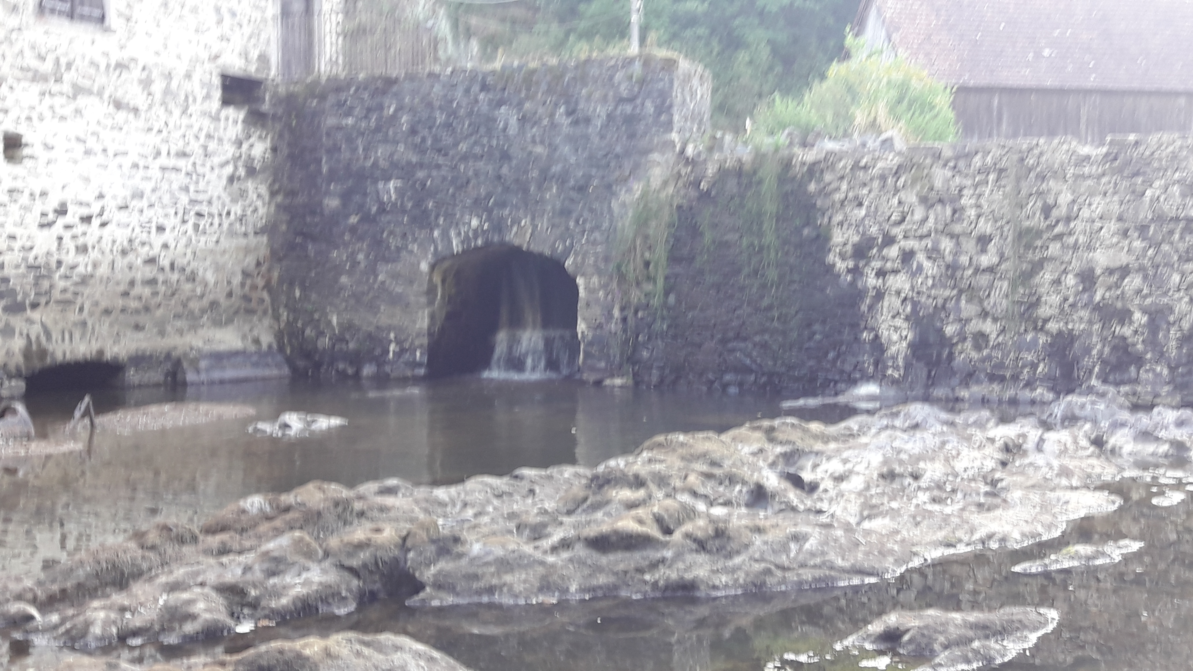 Photo n° 5 de l'avis de Thierry.a fait le 13/08/2020 à 18:16