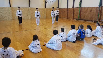 Sejong Taekwondo