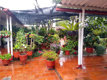 Hotel Catatumbo