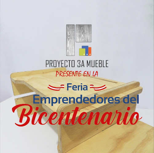 Proyecto 3A Mueble - Independencia