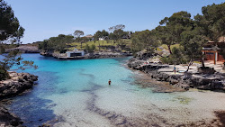 Photo de Cala Mitjana situé dans une zone naturelle