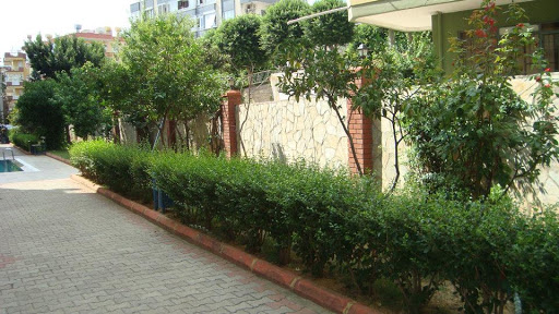 cekicoglu otomotiv alanya antalya