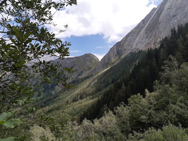 Rezensionen über Boucherie Au Fumoir Paysan in Martigny - Metzgerei