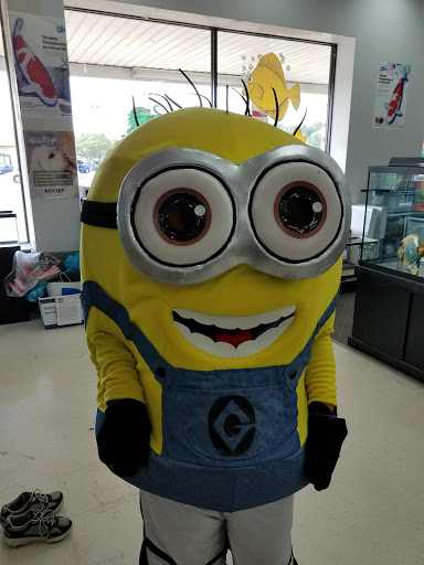 Shopping Mall «Hampton Plaza Shopping Center», reviews and photos, 4033 W Mercury Blvd, Hampton, VA 23666, USA