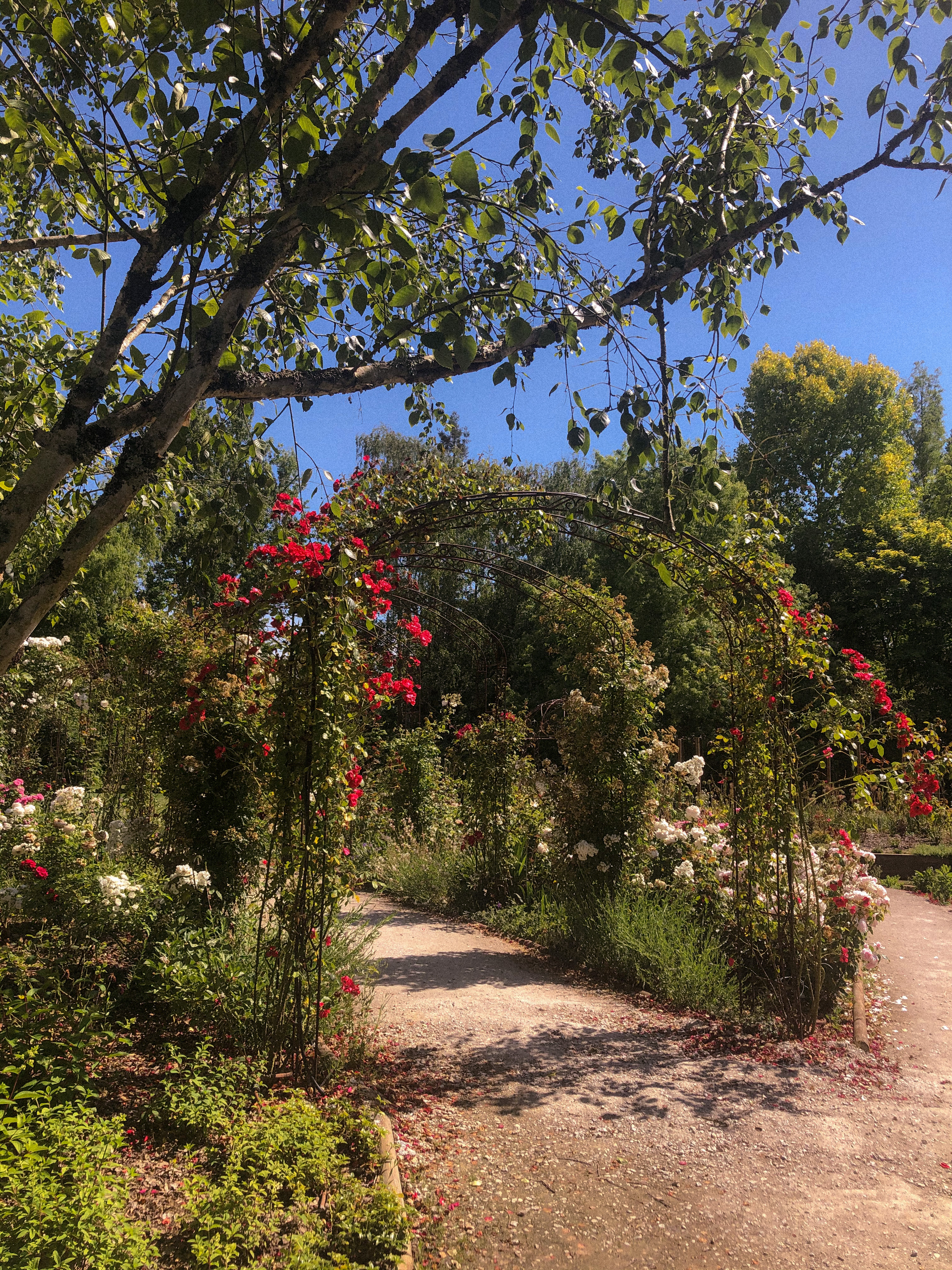 Photo n° 4 de l'avis de Solène. fait le 31/07/2021 à 13:27