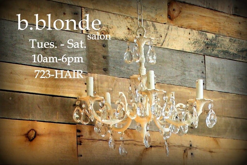 B.Blonde Salon 76308