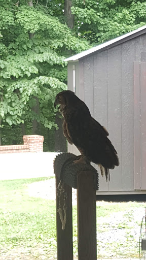 Observatory «Vanderbilt Dyer Observatory», reviews and photos, 1000 Oman Dr, Brentwood, TN 37027, USA